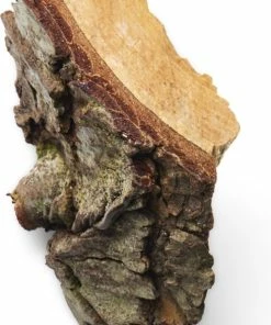 Beste Verkoop ???? Giorgio Armani Acqua Di Gio Pour Homme - Deodorant - 150 Ml ???? -Oral-B Shop 490x840