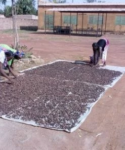 Promo 🌟 Berivita Shea Butter Puur 1kg Pot - Huid En Haar Butter - 1000 Gram Ongeraffineerde En Onbewerkte Sheabutter - Shea Boter 🌟 -Oral-B Shop 550x309 124