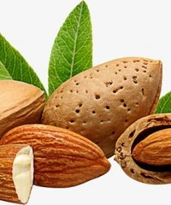 Goedkoopste 🔔 Qure Natural Oil Amandelolie 100ml | 100% Puur & Onbewerkt | Koudgeperste Zoete Amandel Olie Voor Haar, Huid En Lichaam 🛒 -Oral-B Shop 550x331 2