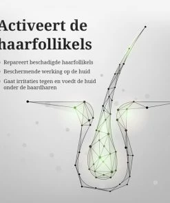 Top 10 ❤️ LB Products Baardgroei Olie™ 2.0 + Derma Baard Roller - 30 Ml 🛒 -Oral-B Shop 550x550 1010