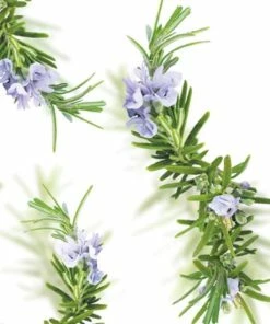 Korting 🌟 Kneipp New Energy - Badolie 🧨 -Oral-B Shop 550x550 522