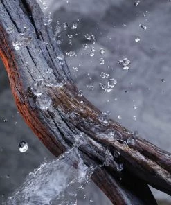 Goedkoop ???? Paco Rabanne Invictus Deodorant Stick - Deodorant - 75 Ml ⌛ -Oral-B Shop 550x550 626