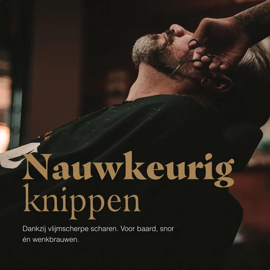 Beste recensies van π Blue Zoo Baardset Voor Baardgroei - Baardstijler - Baard Kit - Baardschaar Baardkam En Snorschaar - Beard Kit - Baardverzorging Set β 11 Beste recensies van π Blue Zoo Baardset Voor Baardgroei - Baardstijler - Baard Kit - Baardschaar Baardkam En Snorschaar - Beard Kit - Baardverzorging Set β - Afbeelding 9