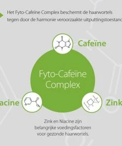 Beste deal ⌛ Plantur39 Cafeïne Tonic - 200 Ml 🌟 -Oral-B Shop 550x550 879