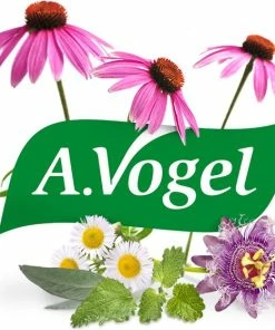 Nieuw 🧨 A.Vogel Echinaforce Crème - Ondersteunt Het Herstellend Vermogen Van De Huid. - 30 Gr ⌛ -Oral-B Shop 550x560 4